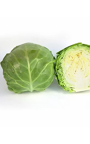 Капуста Белокочанная KS 1450 F1  Kitano Seeds