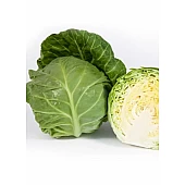 Капуста Белокочанная KS 1431 F1  Kitano Seeds
