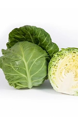 Капуста Белокочанная KS 1431 F1  Kitano Seeds