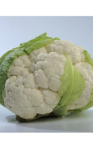 Капуста Цветная Мисора F1  Kitano Seeds