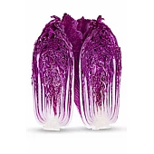 Капуста Пекинская Ямада F1 (KS 888 F1)  Kitano Seeds