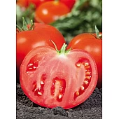 Томат Ками F1 (KS 898 F1)  Kitano Seeds