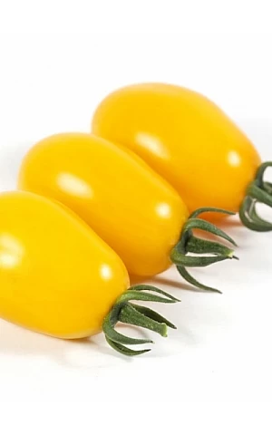Томат черри KS 3690 F1  Kitano Seeds