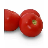 Томат KS 2910 F1  Kitano Seeds