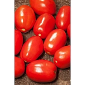Томат Дерика F1 (KS 720 F1)  Kitano Seeds