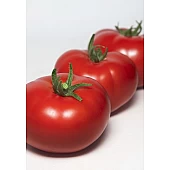 Томат KS 301 F1  Kitano Seeds