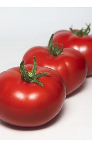 Томат KS 301 F1  Kitano Seeds