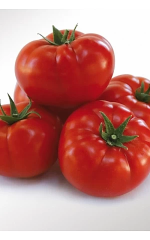 Томат KS 206 F1  Kitano Seeds