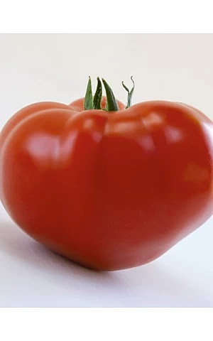 Томат KS 204 F1  Kitano Seeds