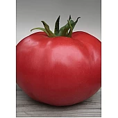 Томат Кибо F1  Kitano Seeds