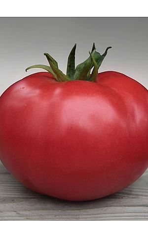 Томат Кибо F1  Kitano Seeds