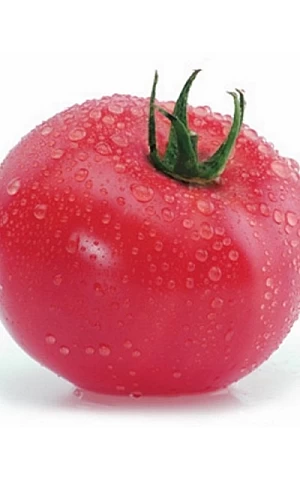 Томат Касамори F1  Kitano Seeds