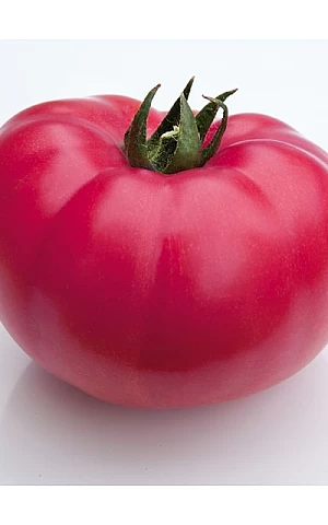 Томат KS 3811 F1  Kitano Seeds
