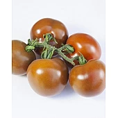Томат KS 3900 F1  Kitano Seeds