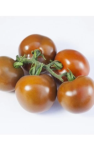 Томат KS 3900 F1  Kitano Seeds