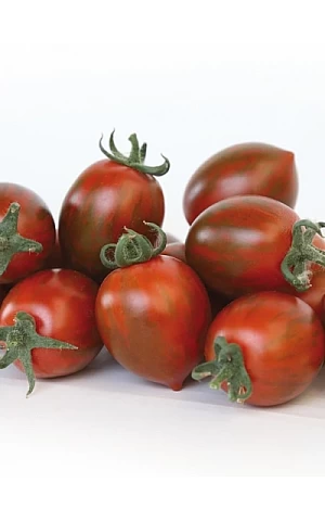 Томат черри KS 277 F1  Kitano Seeds