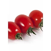Томат черри KS 3640 F1  Kitano Seeds