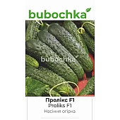 Огурец Проликс F1 (Proliks F1) 