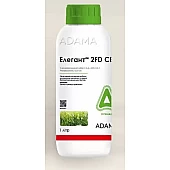 Элегант 2FD CE