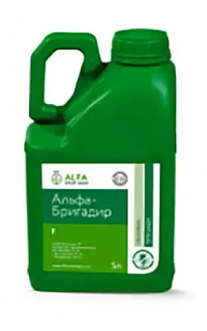 Альфа Бригадир КЕ