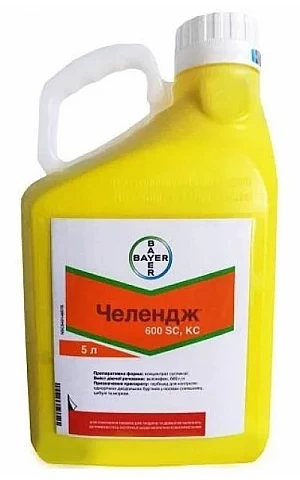 Челлендж 600 КС