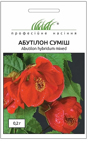 Абутілон суміш