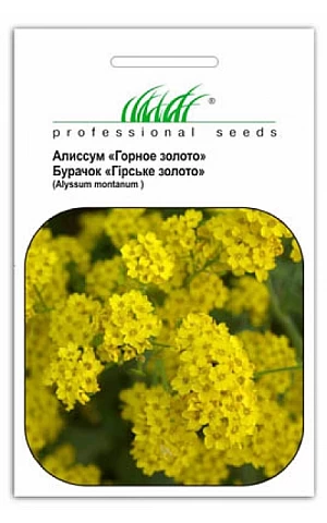 Алиссум Горное Золото 