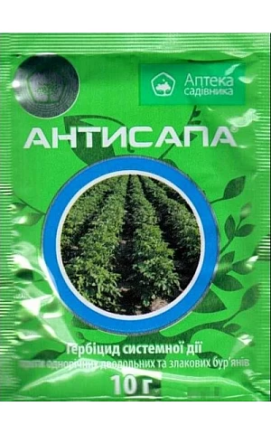 Антисапа