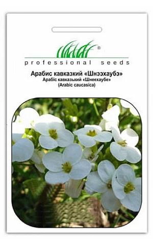 Арабис Кавказский белый 