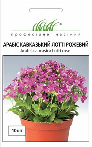 Арабис Лотти розовый 