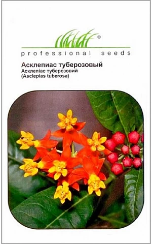 Асклепиас Туберозовый 