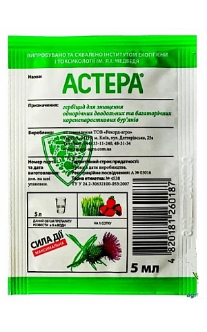 Астера