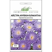 Астра Арлекин голубая 