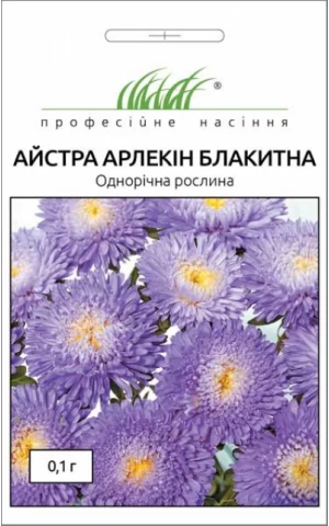 Астра Арлекин голубая 