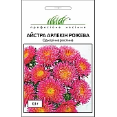 Астра Арлекин розовая 
