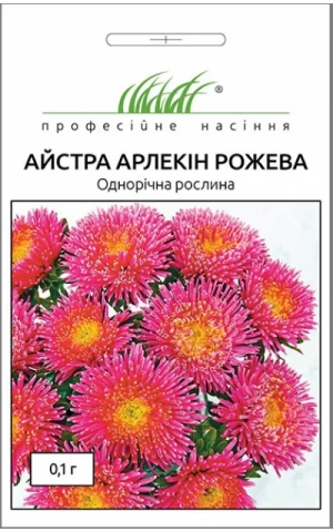 Астра Арлекин розовая 