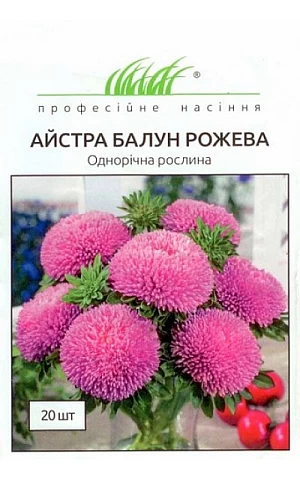 Астра Балун розовая 