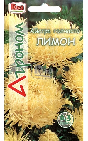 Астра игольчатая Лимон Riva Trade