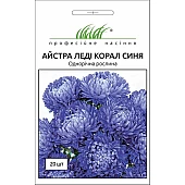 Астра Леди Корал синяя 