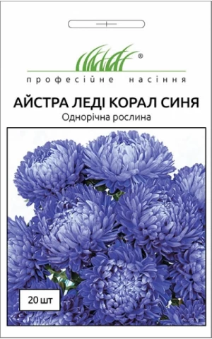Астра Леди Корал синяя 