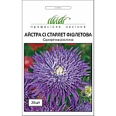 Астра Си Старлет фиолетовая 