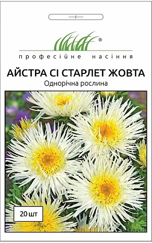 Астра Си Старлет желтая 