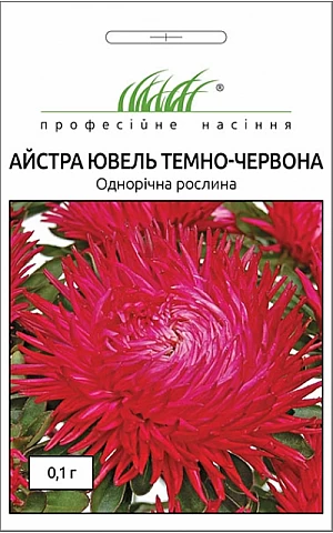 Астра Ювель темно-красная 