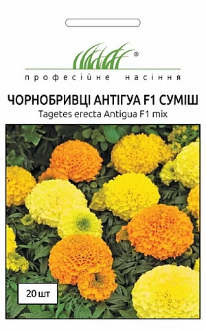 Чорнобривці Антигуа F1 (Antigua F1) 