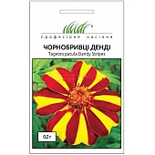 Бархатцы Денди 