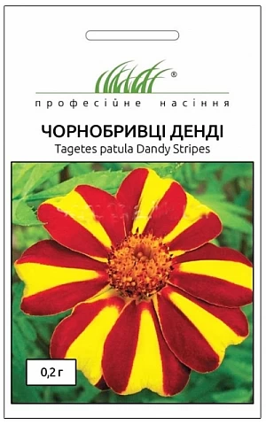 Бархатцы Денди 