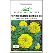 Бархатцы Эквинокс лимонные 