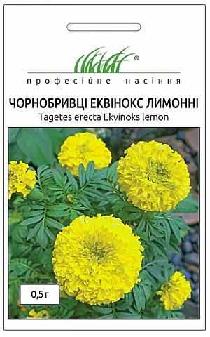 Бархатцы Эквинокс лимонные 