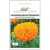 Бархатцы Эквинокс оранжевые 