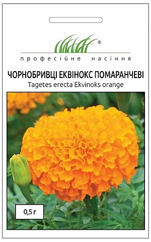 Бархатцы Эквинокс оранжевые 